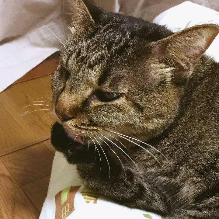 01bf0336 dc33 4263 a7c6 21204d9f171b