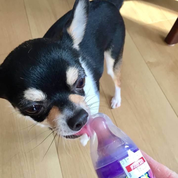 01bfb4b3 e5e2 4fdb b0de d686fb610066