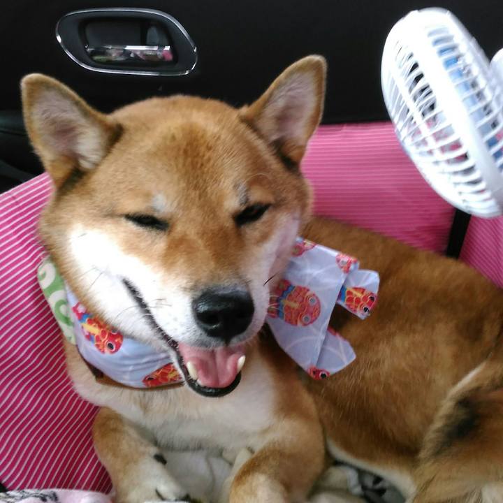 01c02af0 a13c 42db 8ff2 b232789ad0ab