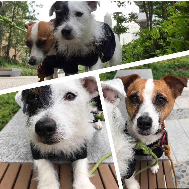 01c0331e 4f08 437f ae19 7f62d5cecb9a