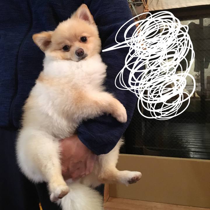 01c05204 517a 4b65 ab02 b0ede5dfbe9f