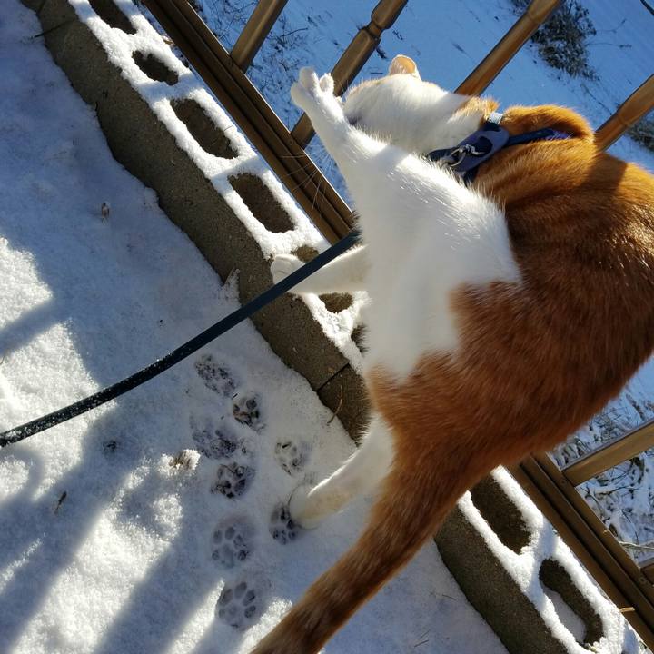 01c0cb2a 0186 4d0c 8fdb b33340e397a8