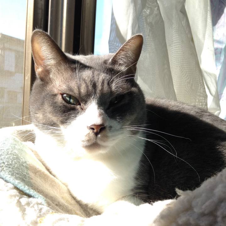 01c107e8 2a8f 4087 aa10 a565d7939c06