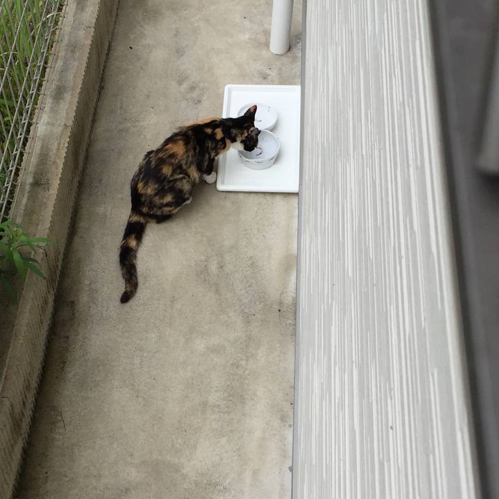 01c1375a e458 4d8a 9ccc 4464051299ea