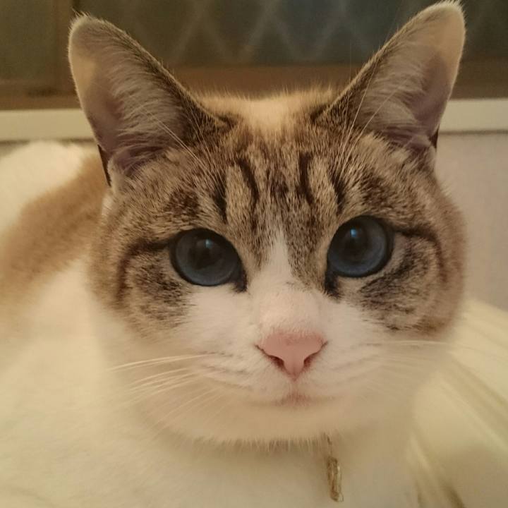 01c183b0 d20f 4f4e ad95 ebfda1d92263