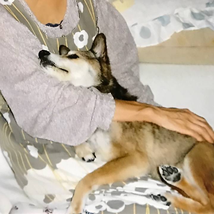 01c1ad4d fd71 4232 9573 53223a9d7812