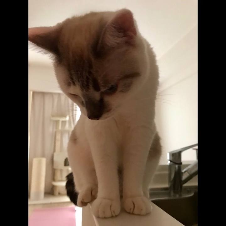 01c286f1 359a 4533 b896 fa714e87b1ec