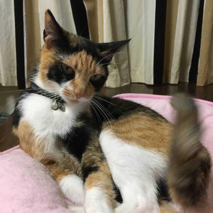 01c29ac1 6c0b 4888 b011 eba04492f757