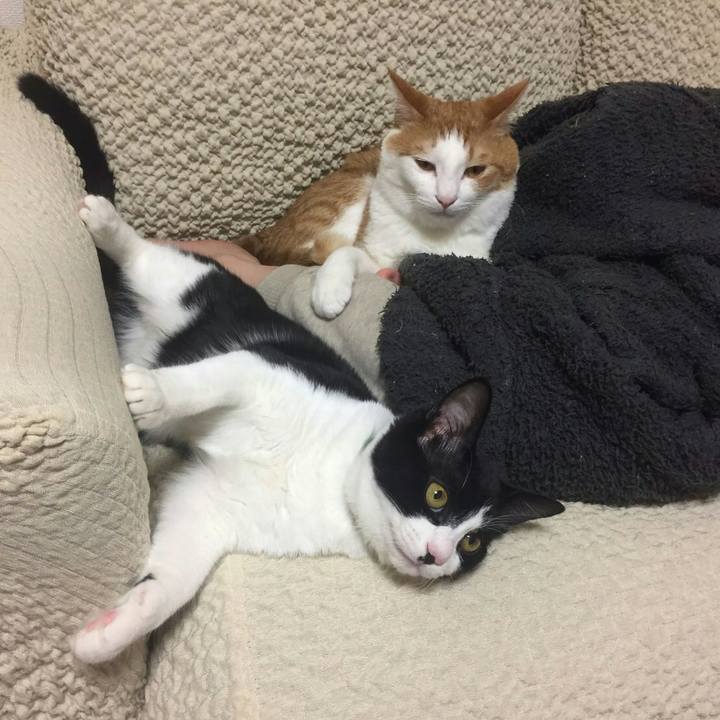 01c39f37 d81c 4fc7 90ab 568c29233946