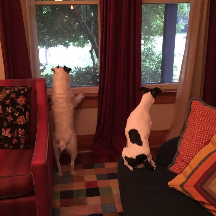 01c4cee3 6fbf 4d8c bad0 68140a2b3ac2