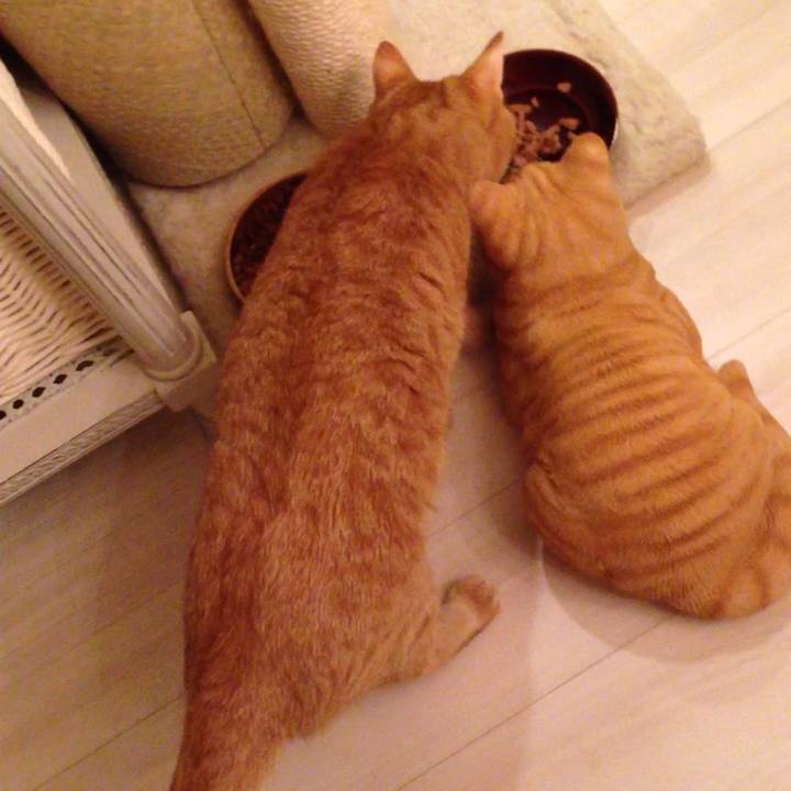 01c4e91c 9ac6 4226 907f 0edac8cae75f