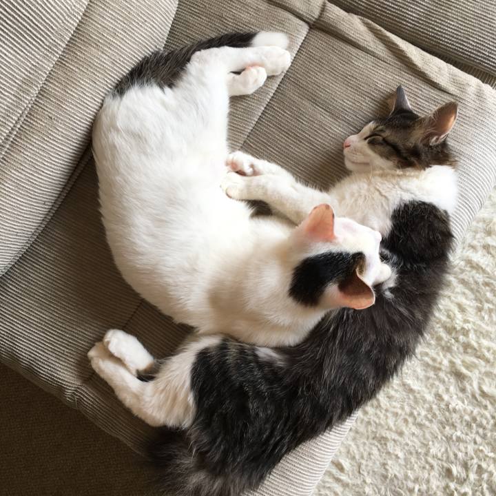 01c4fbc0 67bd 400b 9cfd 3214aff6678a