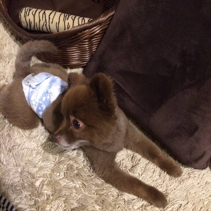 01c5d9e4 2c38 4e92 957f 4521268163b7