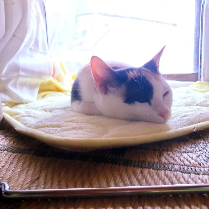 01c61ab8 352c 41e9 914a fc88bc52cb54