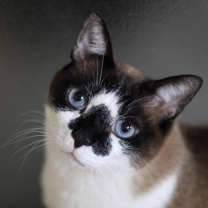 01c6919f e776 4cde bcab e8aa1b5ee943