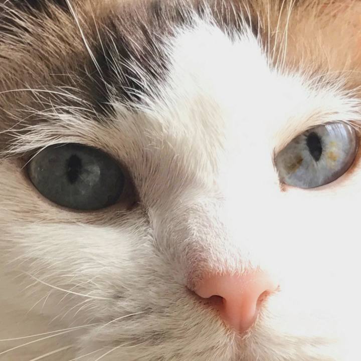 01c6c82b 243e 4d60 b280 432727aa3509