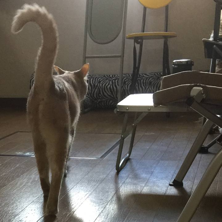 01c6cd06 d743 4e07 ad41 223a5b923399