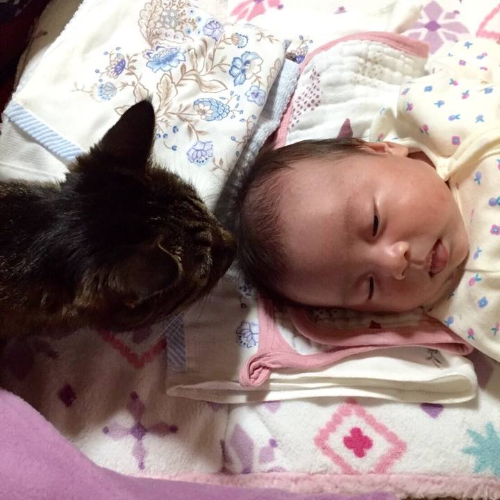 01c7db8e 24b5 4c4f b62b b32c06376672