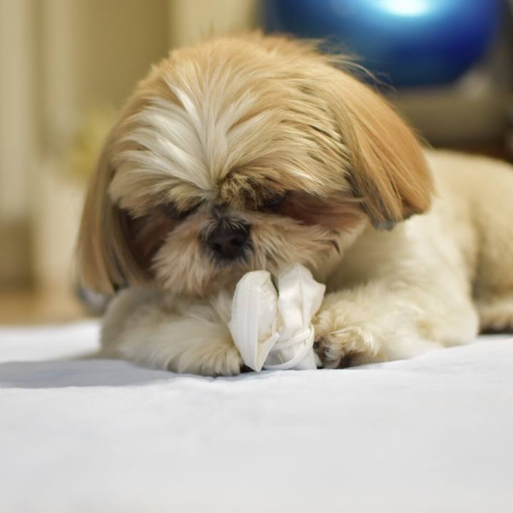 01c8a8c2 91ed 4e92 a837 e4fb0bfdab8d