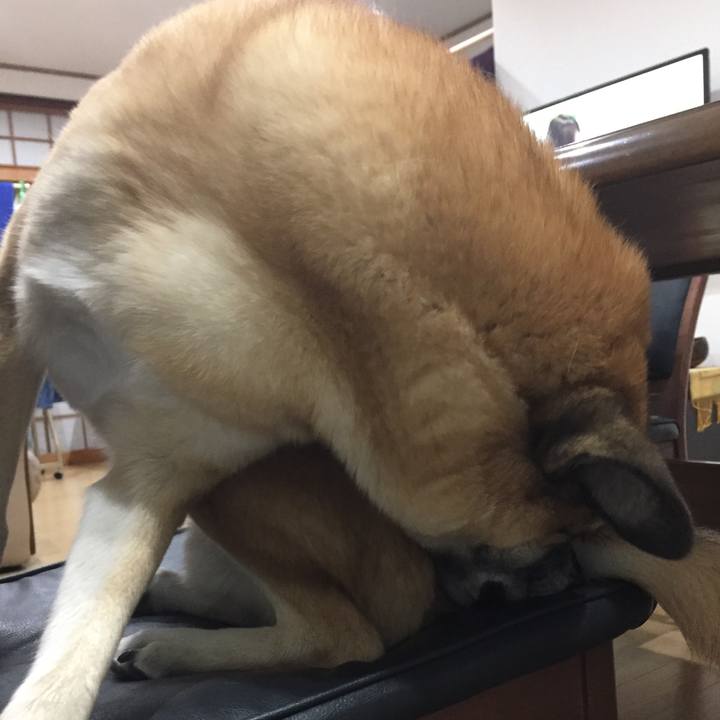 01ca42c5 2a9f 4031 9758 6f1f2789a65a