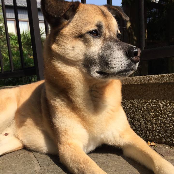 01ca7eaa 05b6 454f bfaa b4a0ab7f4ea5