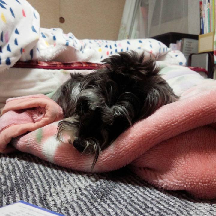 01cad113 ffde 42c7 add3 455625a87ffd