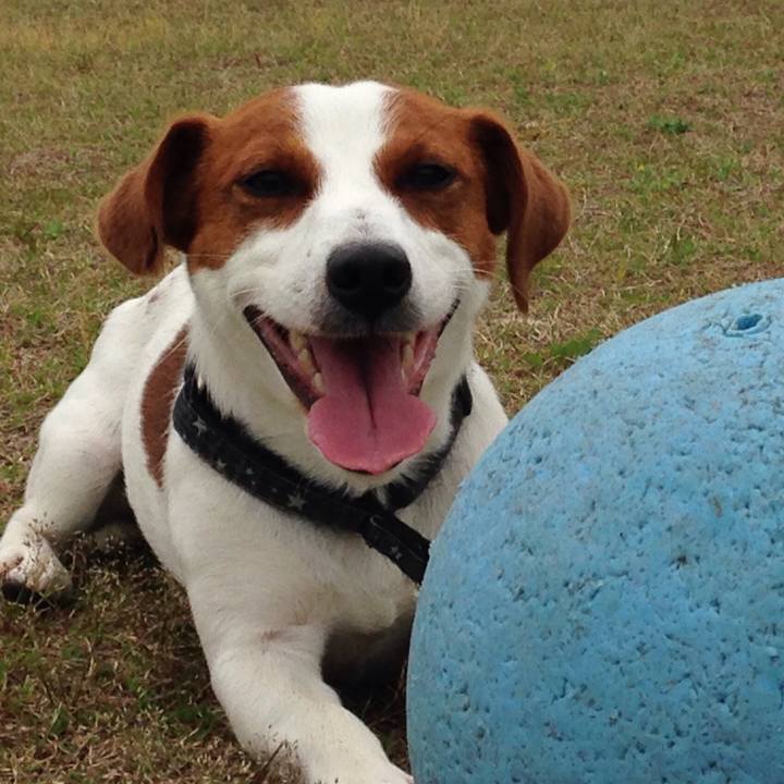 01cb29cc 695e 4279 9d2c 9abdd7498a33