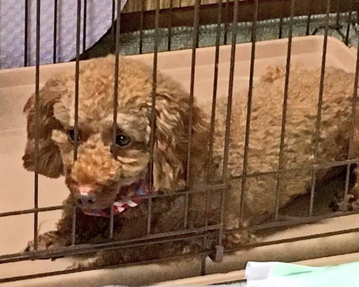 01cb7dbd ab1d 42e7 9a00 0354d56241ae