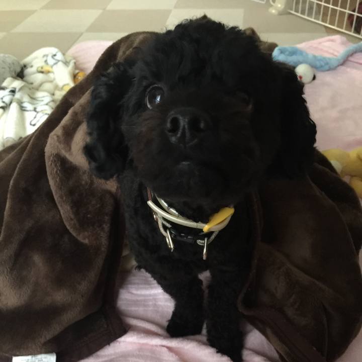 01cc602f 0b78 493e 9cce 1594076e83c8