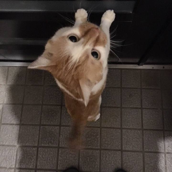 01cc80ae 14ef 4ade 8dda c47d7d25f504