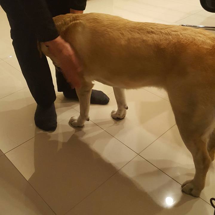 01cd143c 24d2 4632 add2 2e04469d39d6