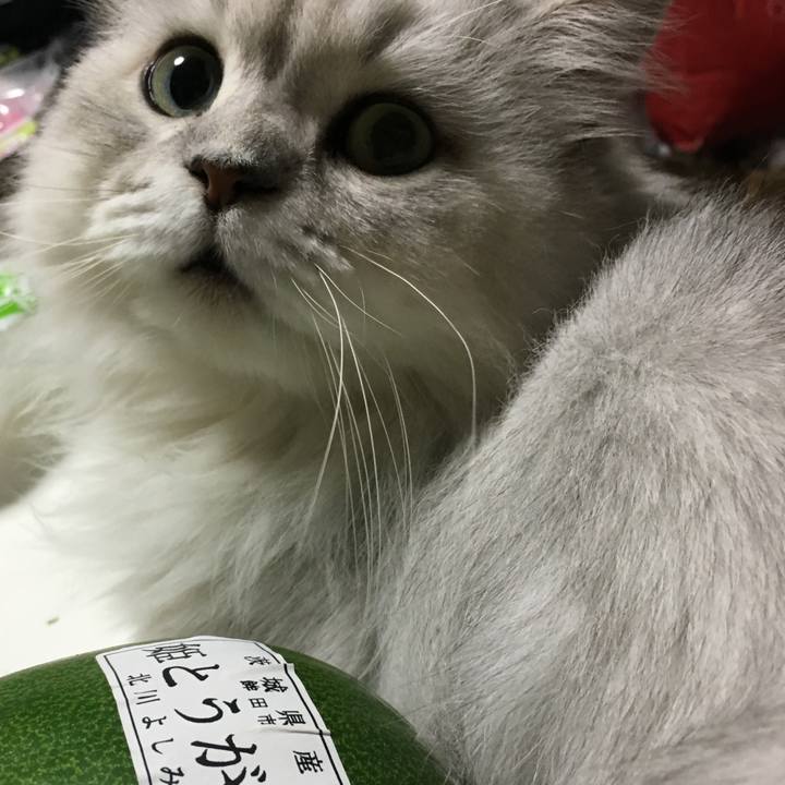 01cd72dc f1eb 4b6f 96bf 0936658b2065