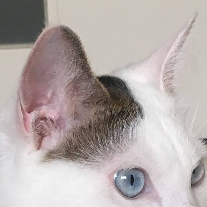 01cd9fbc 9757 4305 8fc1 e173e5e5ad34