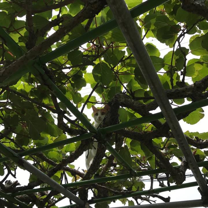 01cdd87f e90d 4205 afc0 5bd672ffef19