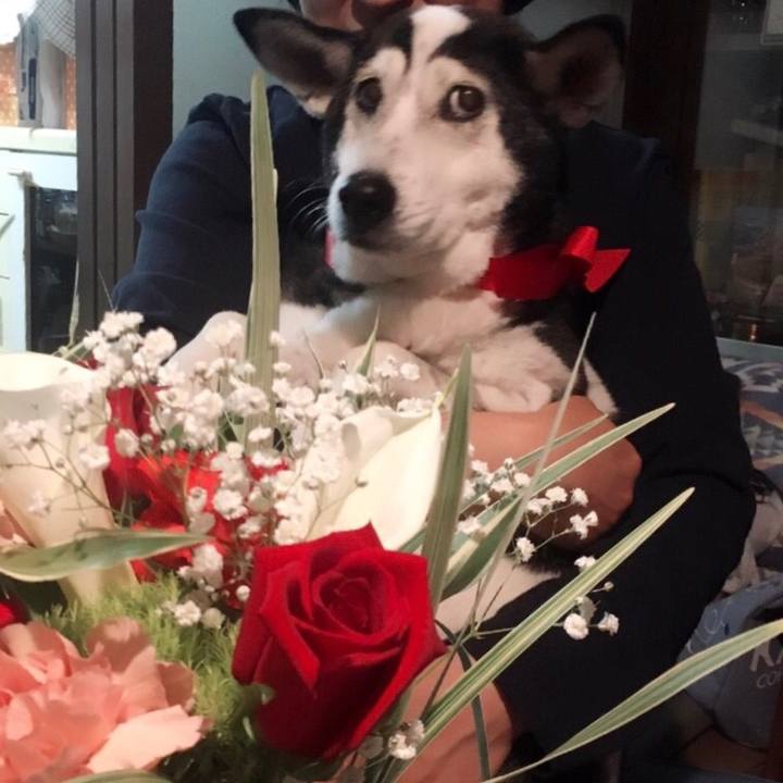 01ce04a0 7574 4719 9435 b9d7b4c6e31e