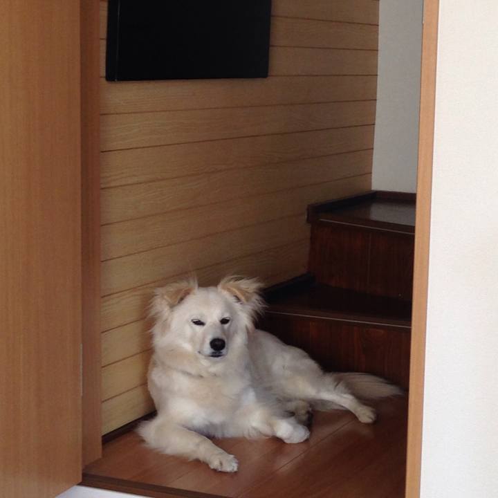 01cea4a6 2b4a 41a6 83ee 1d2ec502ba4b