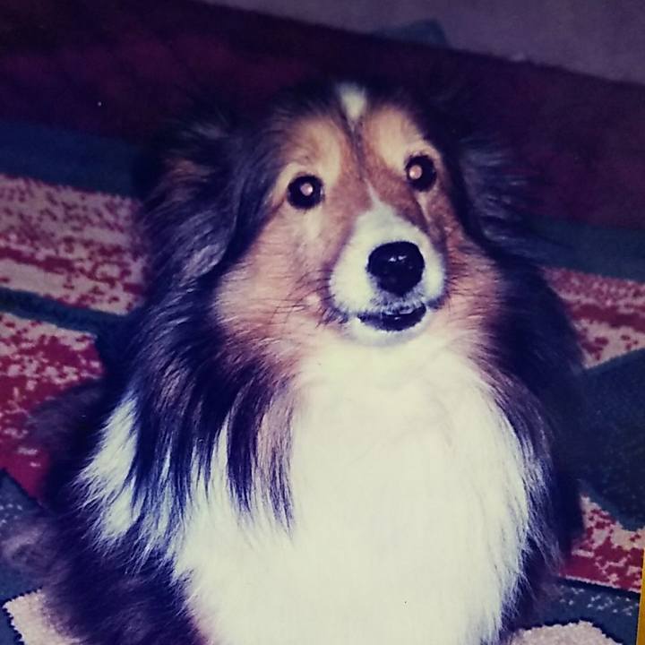 01cef8e5 8898 4952 bae8 295aac710450