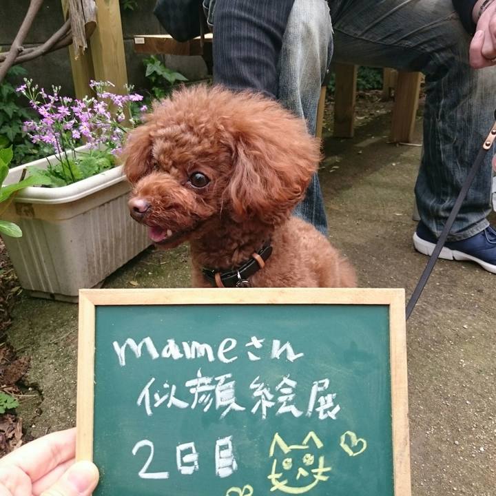 01cf4324 5acd 4530 bbe6 a7e17dd6e51a