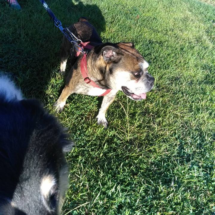 01cfa7c1 1148 4c76 9465 19d885c41a97