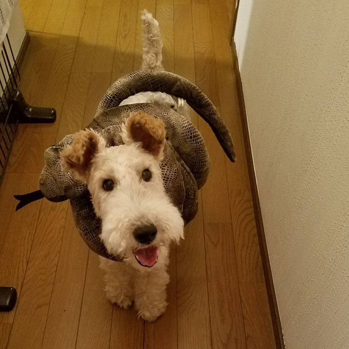 01cff5c6 1b96 4694 ade0 b9c5b36b5b15