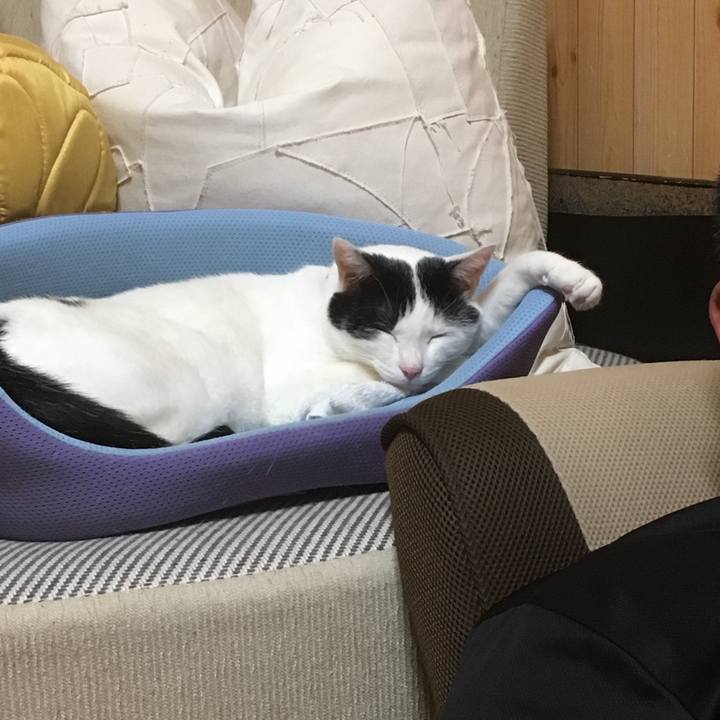 01d07e6e 06c8 45f7 867c 4af217f2db7b