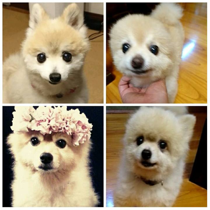 01d08446 ea67 4902 bca0 ffcee2aab0ce