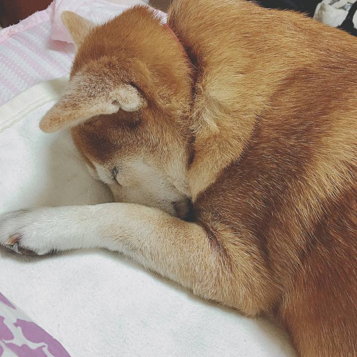 01d09e65 4a7d 4251 8463 e50e034d01cb