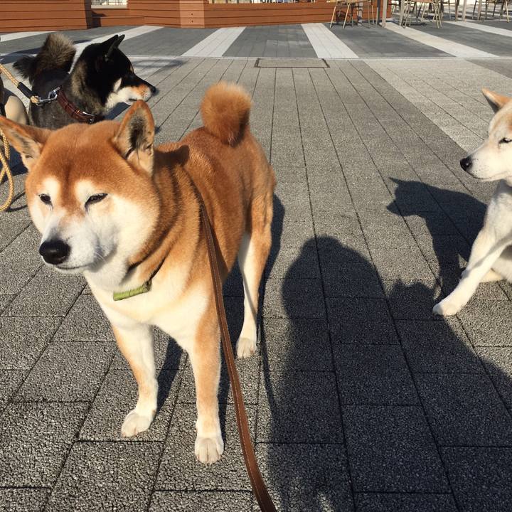 01d0f731 0d9e 4ced 809d 8804151357a5