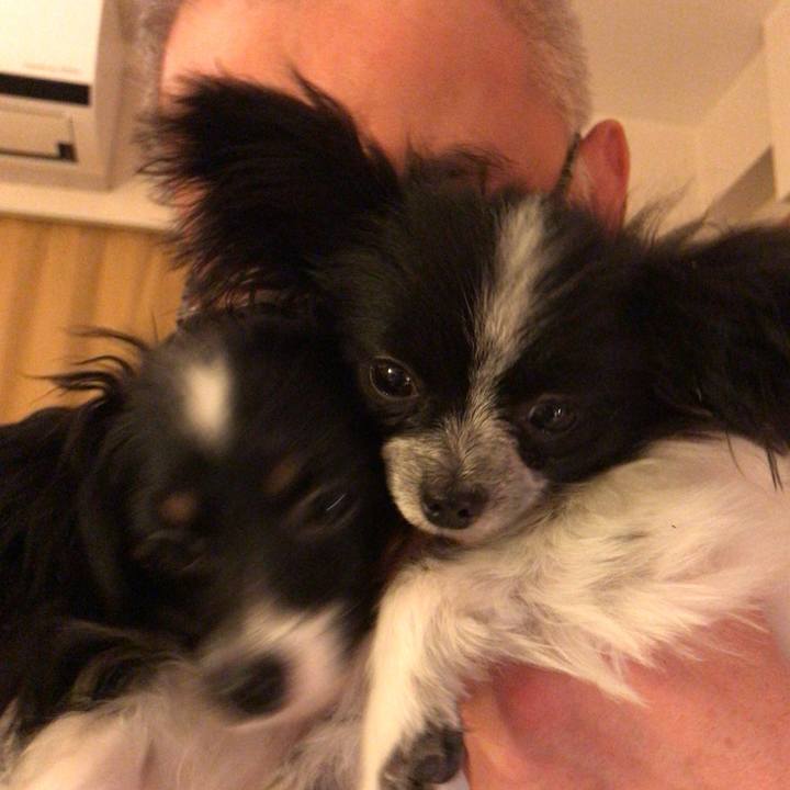 01d14f3d 598d 4a40 b6dc 9955954058fc