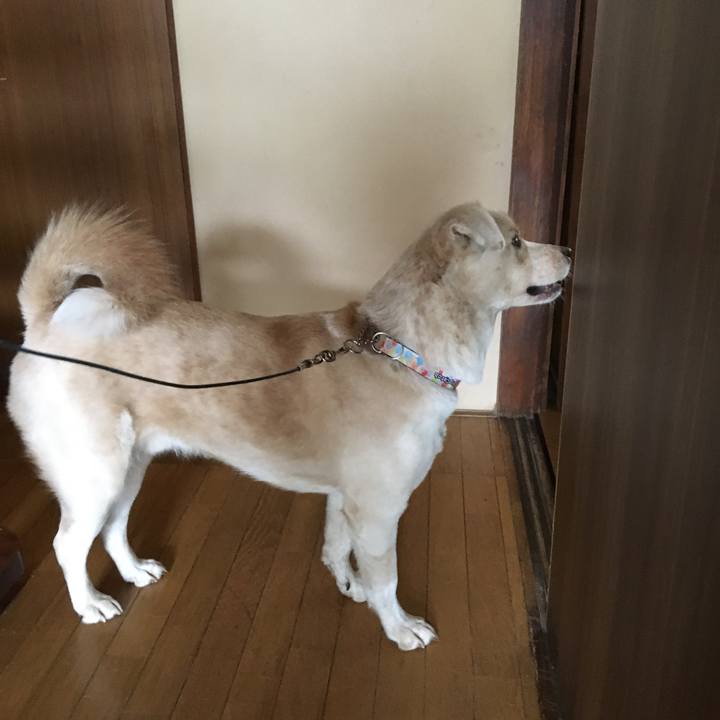 01d2dbf5 4541 438c 9ae7 acbea0e90e6c