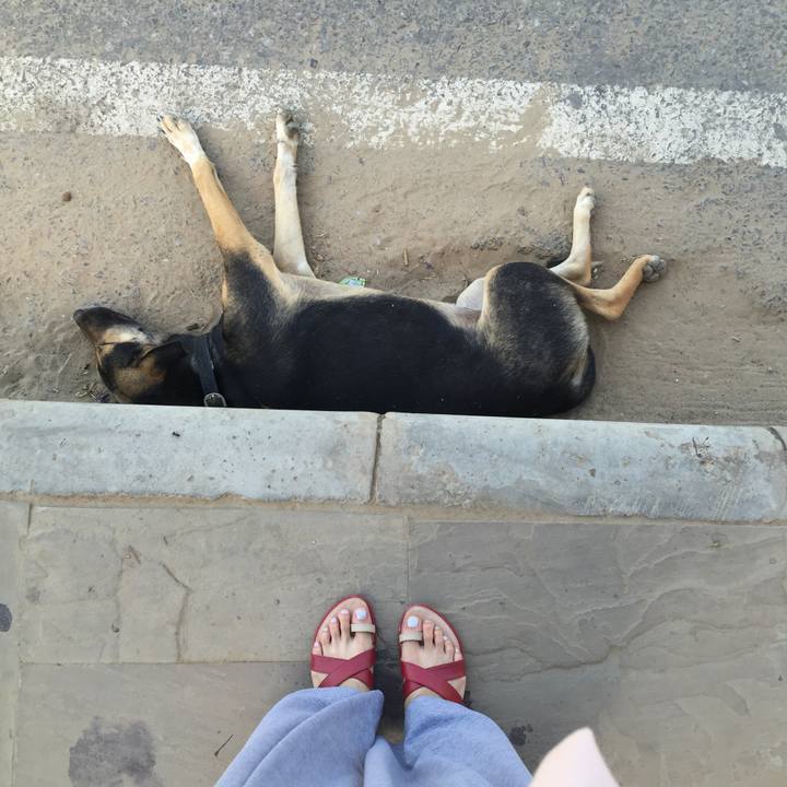 01d34417 c99f 4a74 a4e4 75ca72263029