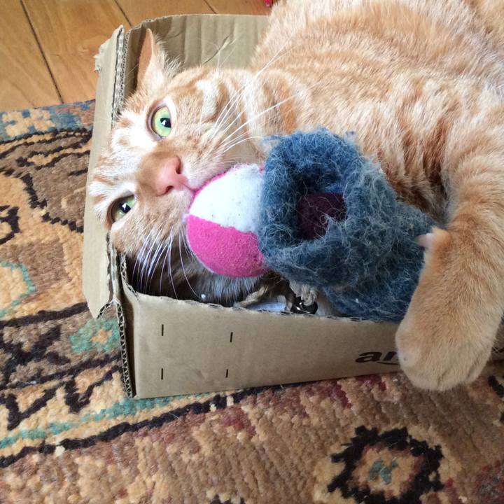 01d350e5 7b41 4d3a bbf7 0a858a279129