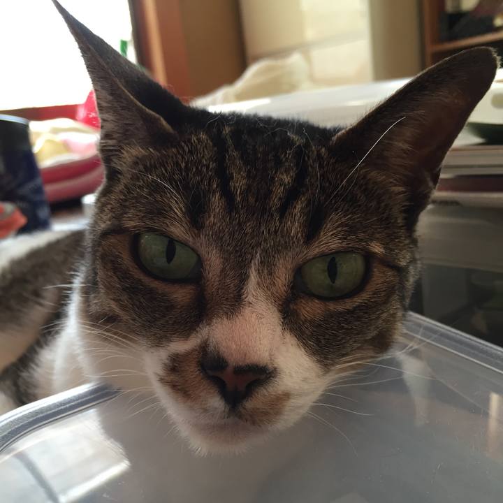 01d354da e3bd 4337 baa6 89d18eb20a3b