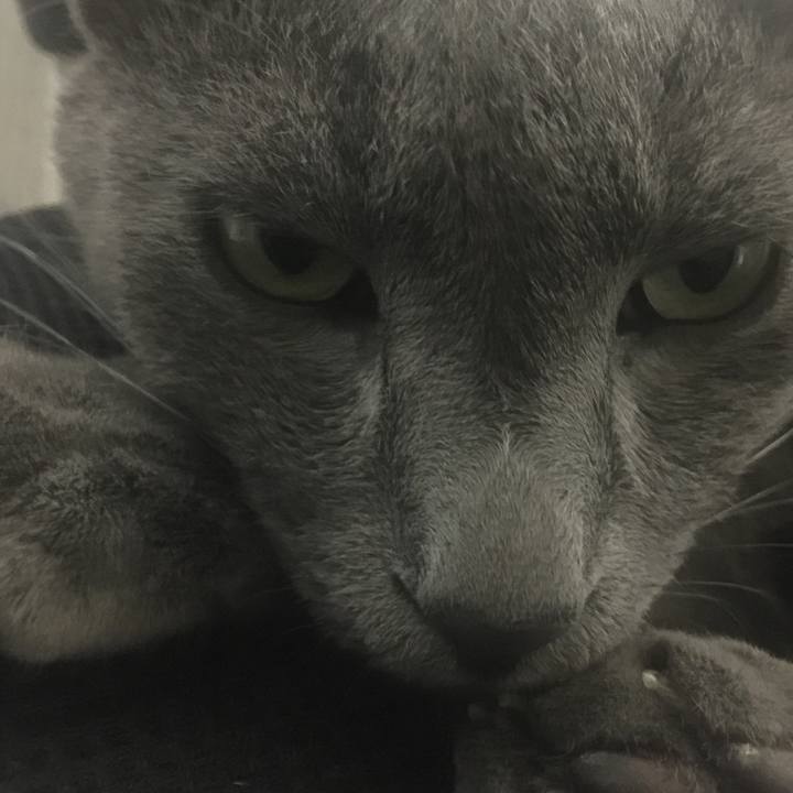 01d35fa9 d599 44eb b5b4 871cffaaefef